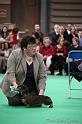 Crufts2011_2 1108